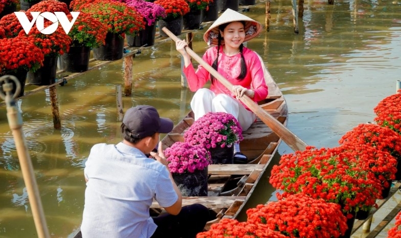 dazzling spring colours emerge in mekong delta flower city picture 7