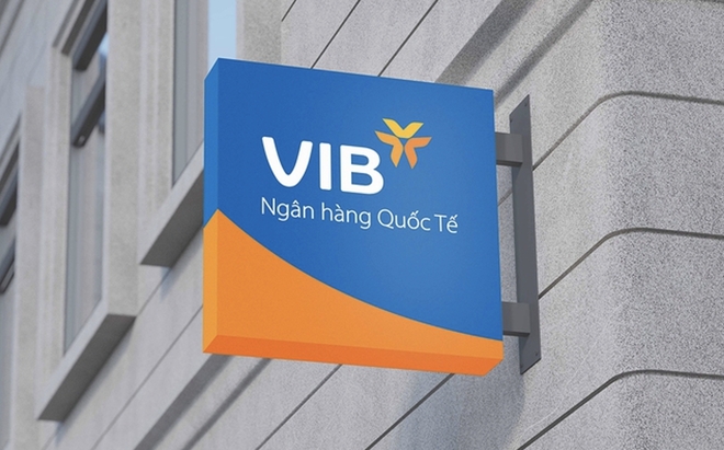 VIB: Lợi nhuận 2024 hơn 9.000 tỷ đồng, tăng trưởng tín dụng 22%, dẫn đầu ngành