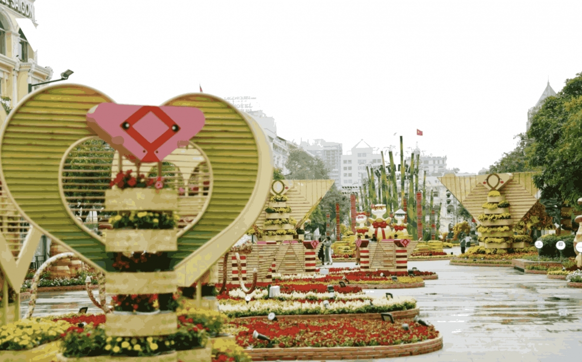 city flower street dazzles residents ahead of tet picture 5