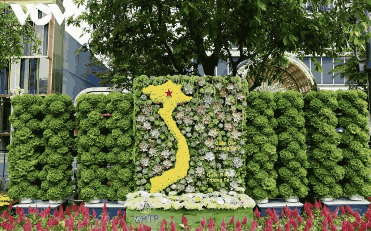 city flower street dazzles residents ahead of tet picture 7