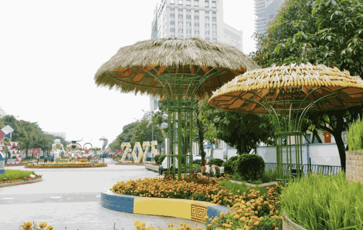 city flower street dazzles residents ahead of tet picture 12