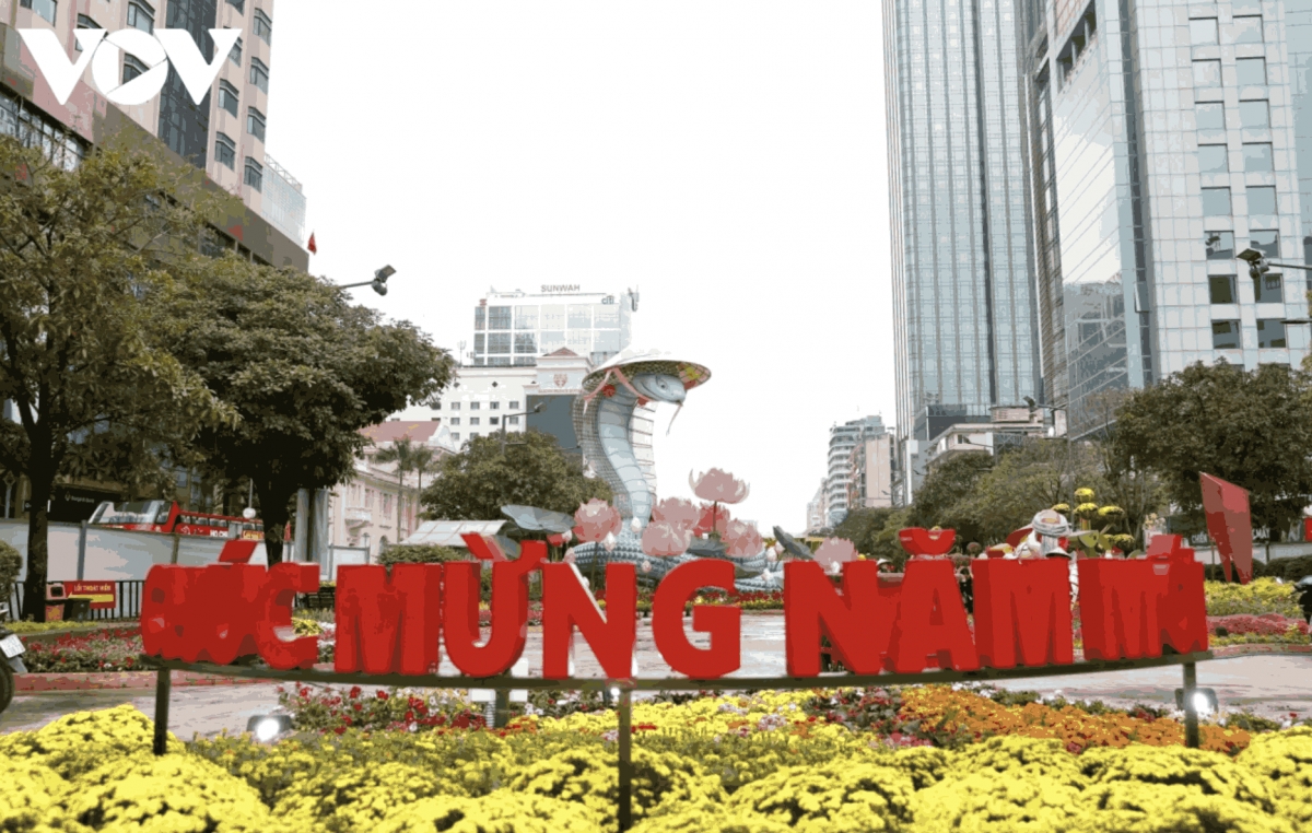 city flower street dazzles residents ahead of tet picture 14