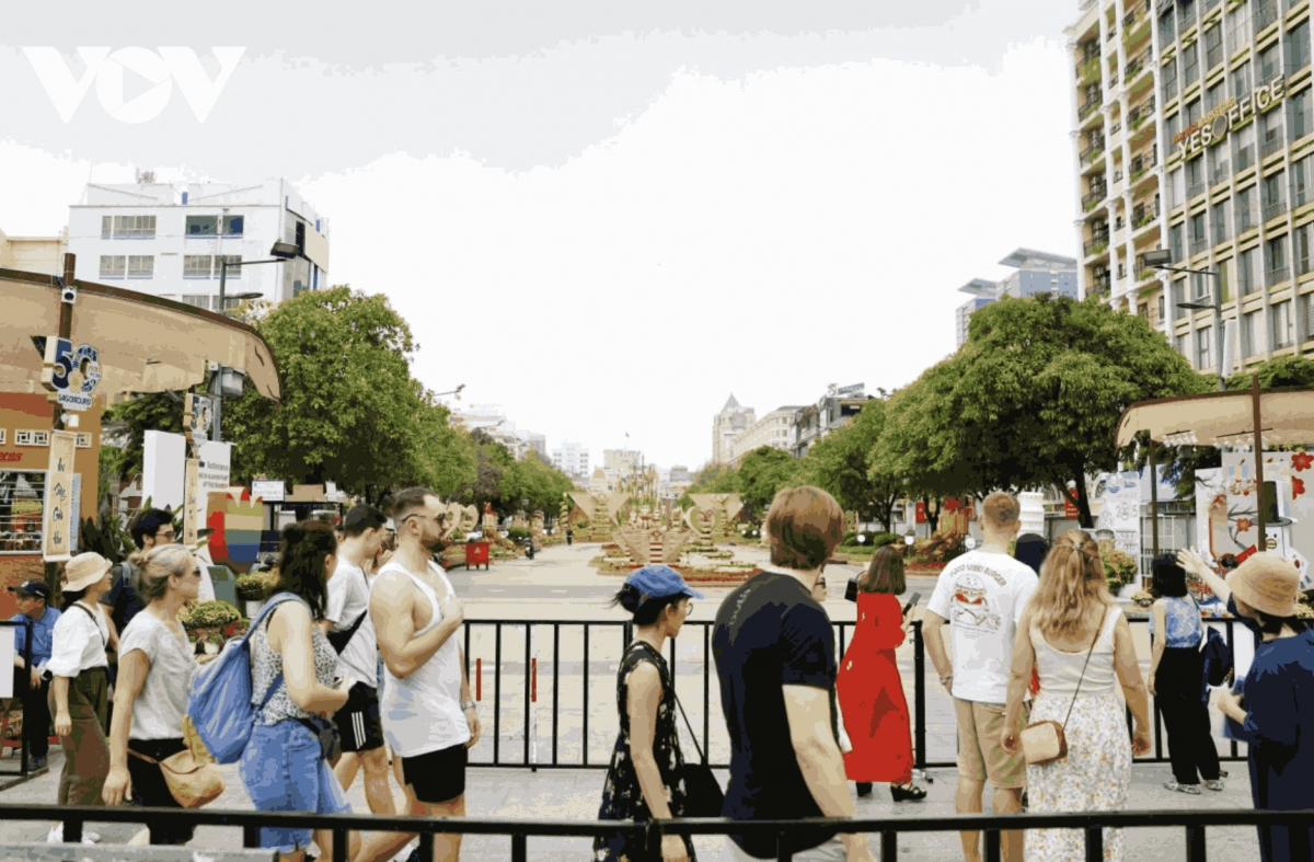 city flower street dazzles residents ahead of tet picture 15