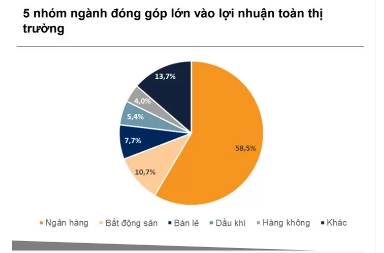 nhom co phieu nao duoc ky vong la dau tau dan dat thi truong trong nam 2025 hinh anh 2