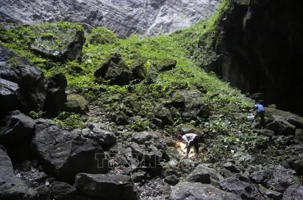 Vietnamese scientists discover new snail species in world’s largest cave