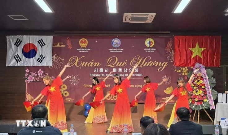 OV communities celebrate early Tet with cultural festivities in RoK, New Zealand