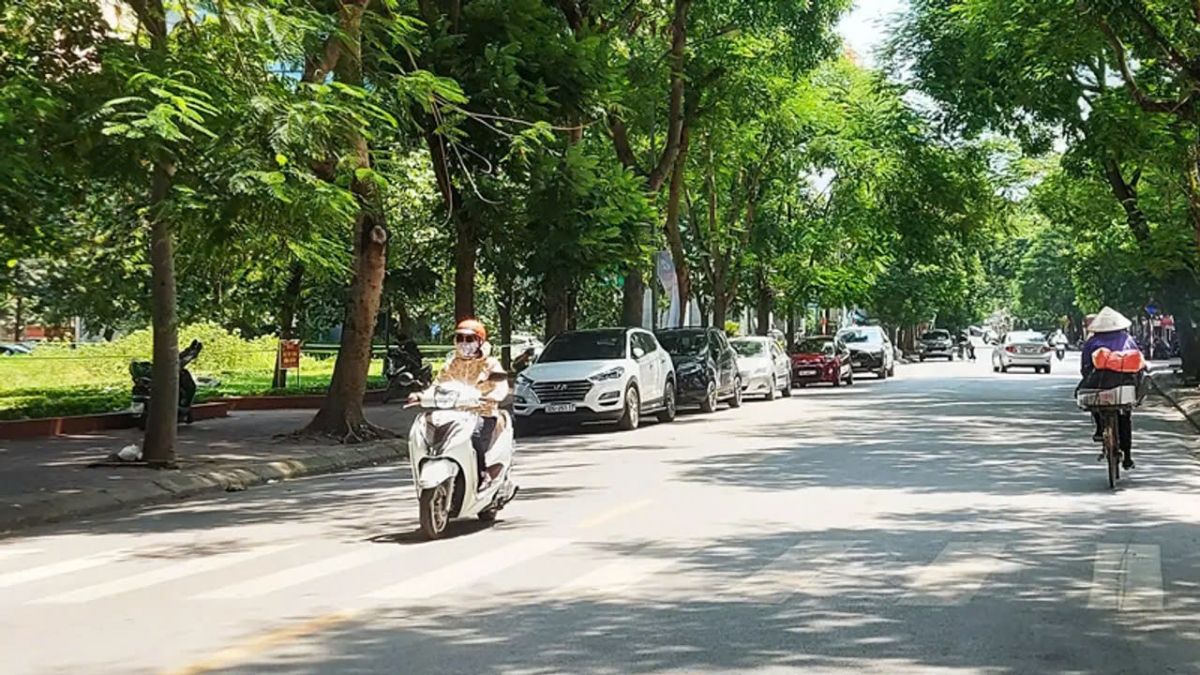 thoi tiet hom nay 10 1 ha noi troi ret, trua chieu troi nang hinh anh 1