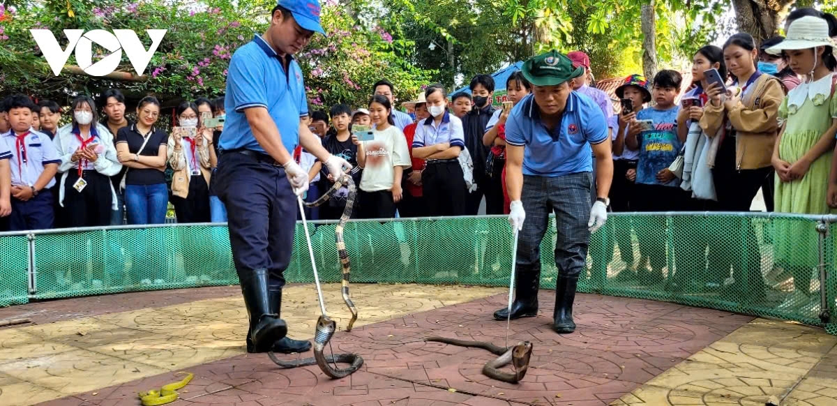 dong tam snake farm offers first-hand experience to visitors picture 3 dong tam snake farm offers first-hand experience to visitors picture 3