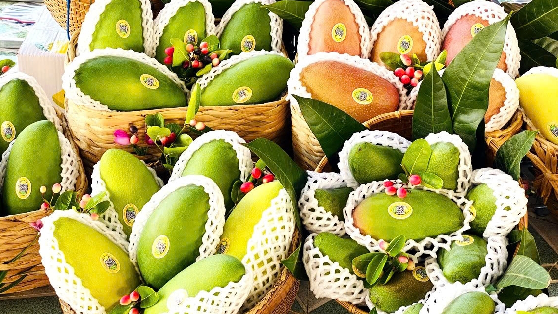 cấu trúc lại ngành hàng nông dân, doanh nghiệp song hành phát triển hình ảnh 3 cau truc lai nganh hang nong dan, doanh nghiep song hanh phat trien hinh anh 3