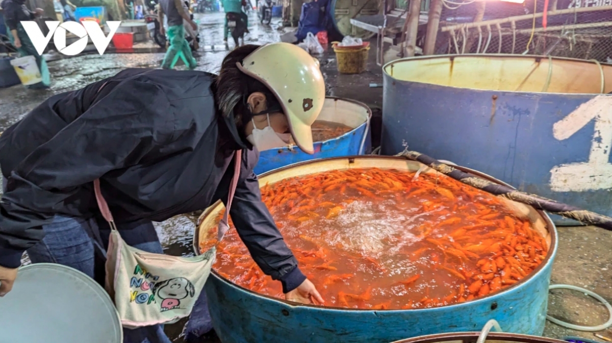 traders flood hanoi s largest fish market as kitchen gods day nears picture 1