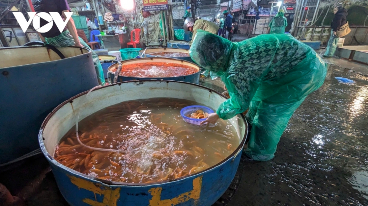 traders flood hanoi s largest fish market as kitchen gods day nears picture 2