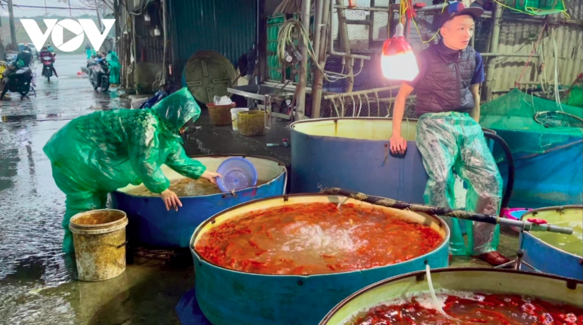 traders flood hanoi s largest fish market as kitchen gods day nears picture 7