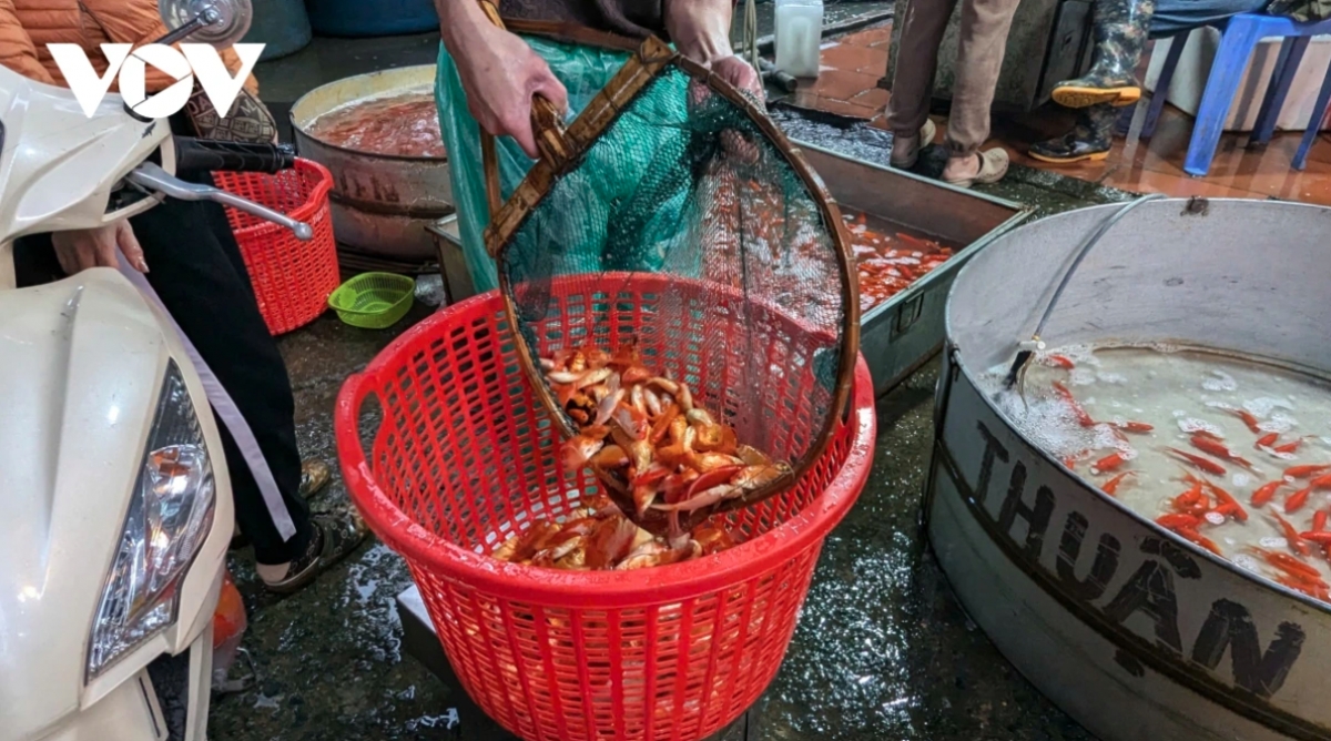 traders flood hanoi s largest fish market as kitchen gods day nears picture 8