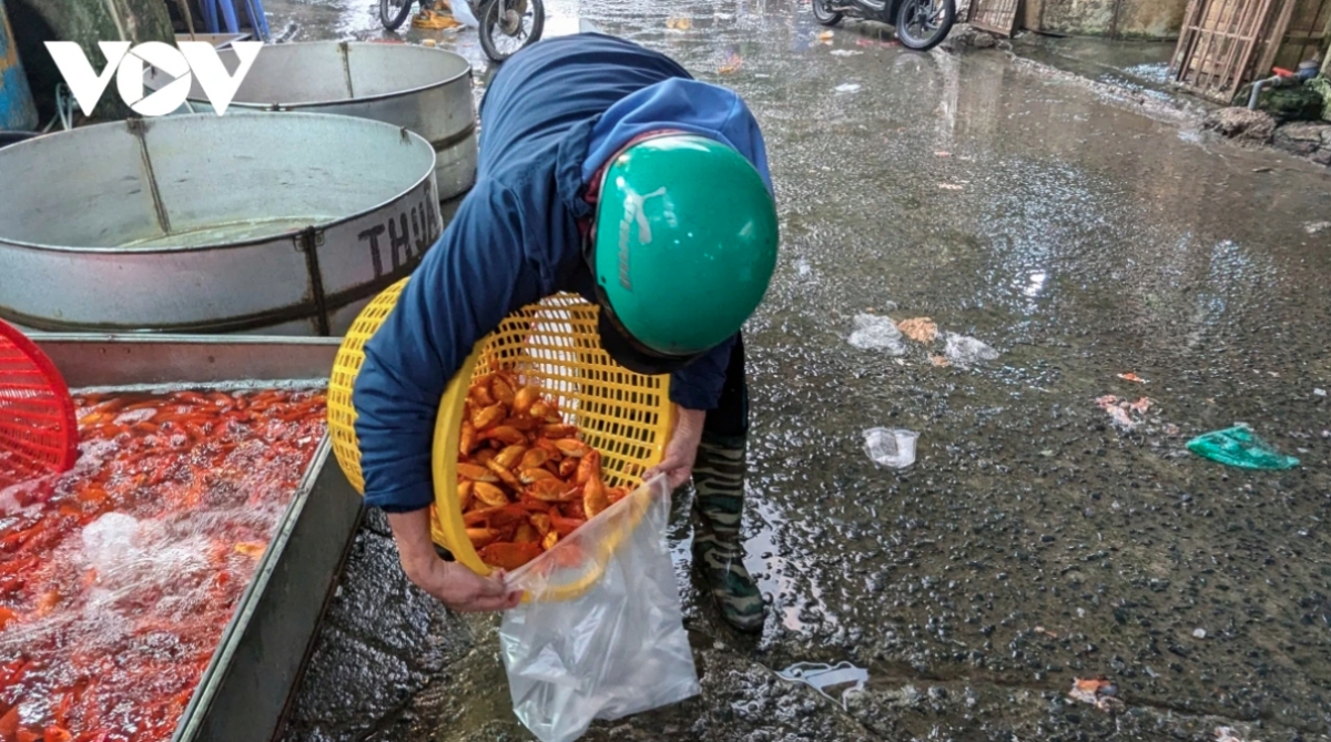 traders flood hanoi s largest fish market as kitchen gods day nears picture 9