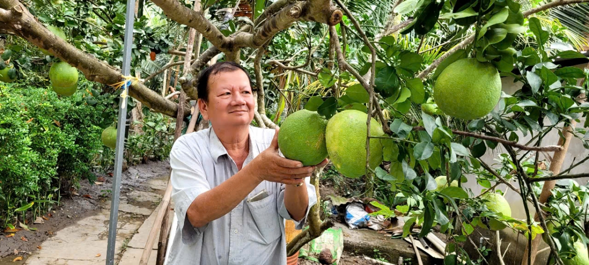 chuyen ve nguoi nong dan ty phu o xu dua voi mo hinh lam vuon sach hinh anh 2