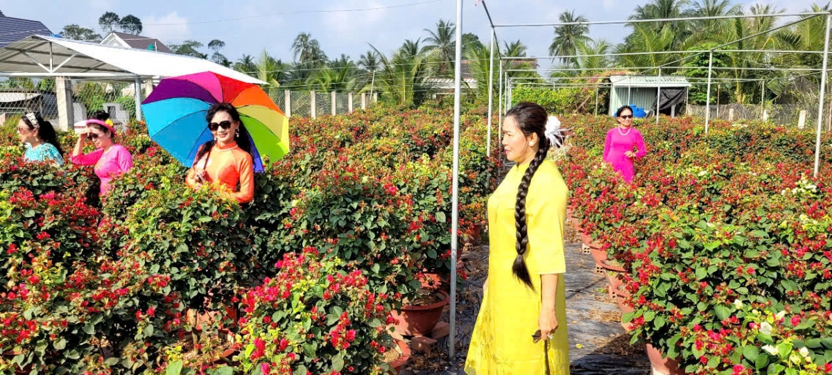 ben tre ruc ro sac mau mua hoa kieng tet co truyen hinh anh 11