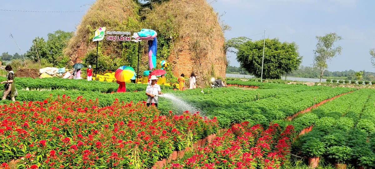 ben tre chuan bi vui xuan, don tet vua phong chong xam nhap man bao ve vu mua hinh anh 3