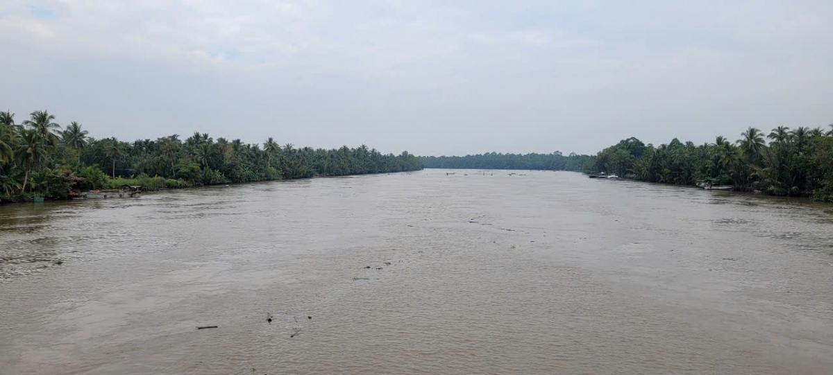 ben tre chuan bi vui xuan, don tet vua phong chong xam nhap man bao ve vu mua hinh anh 6