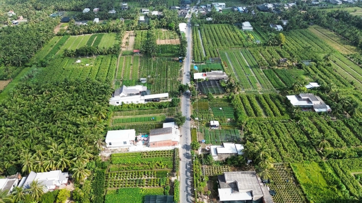 ben tre chuan bi vui xuan, don tet vua phong chong xam nhap man bao ve vu mua hinh anh 2