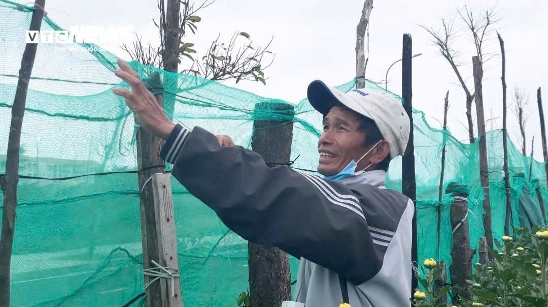 hoa tet no muon, nguoi dan phu yen chong den ngay dem hinh anh 8