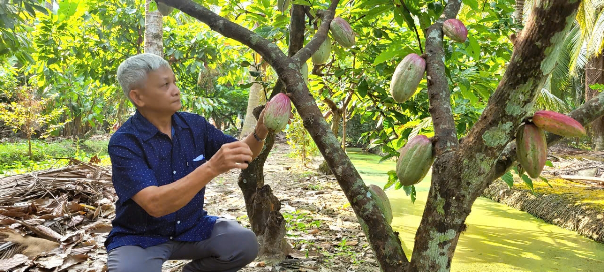 nguoi dang vien cao nien o tien giang het minh voi phong trao hinh anh 4