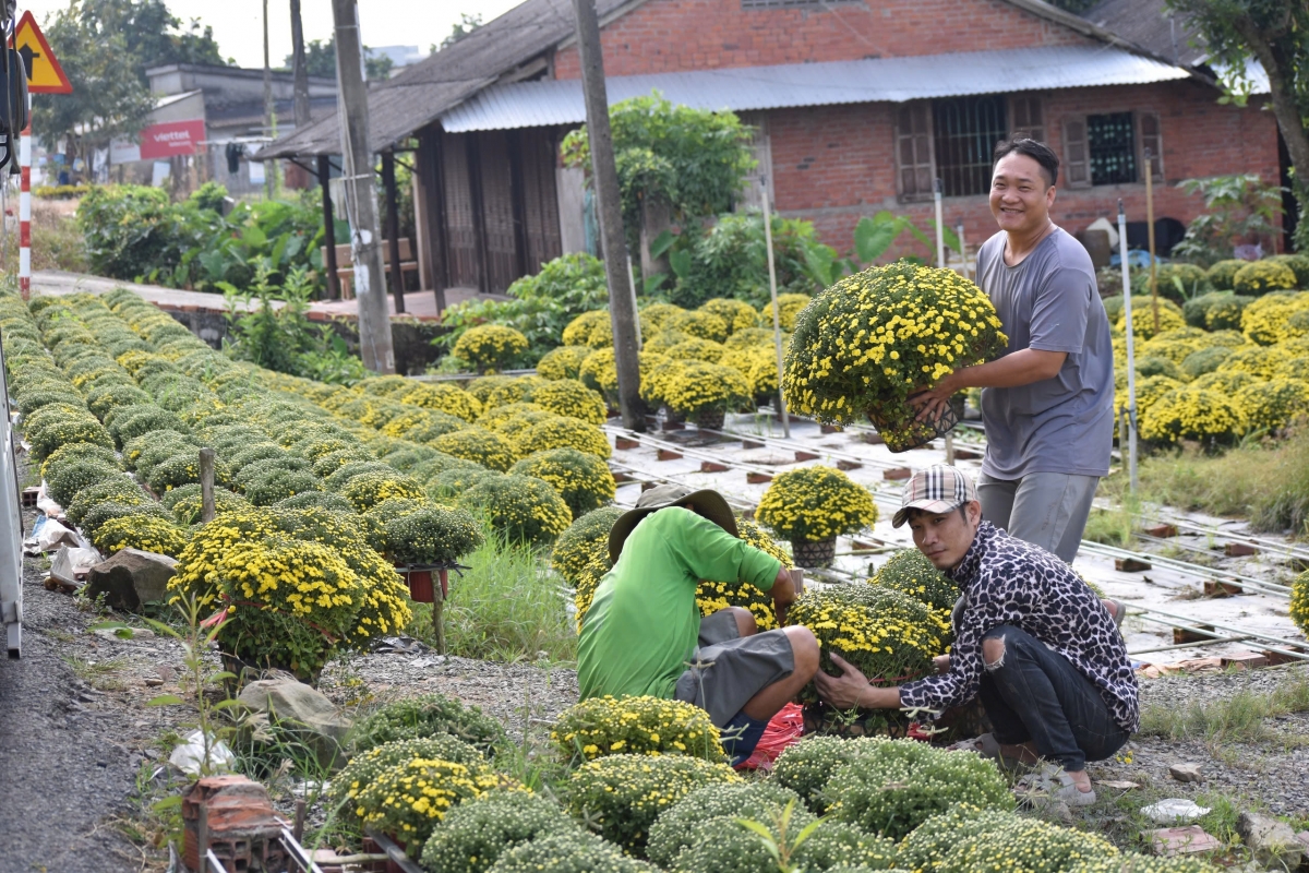 thi truong hoa kieng tet tai tien giang, ben tre nguoi cuoi, ke khoc hinh anh 4