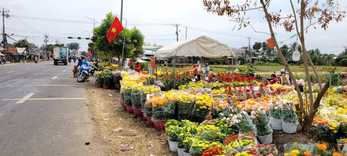 thi truong hoa kieng tet tai tien giang, ben tre nguoi cuoi, ke khoc hinh anh 12