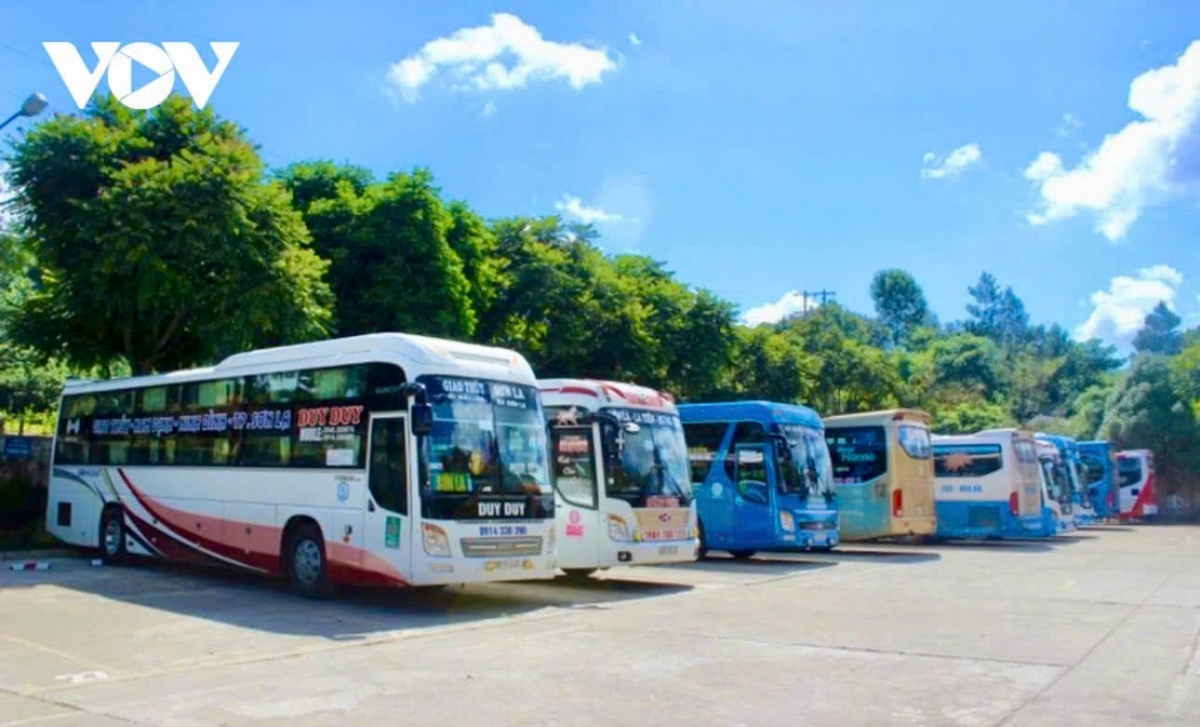 son la tang cuong dam bao atgt sau tet nguyen dan hinh anh 1