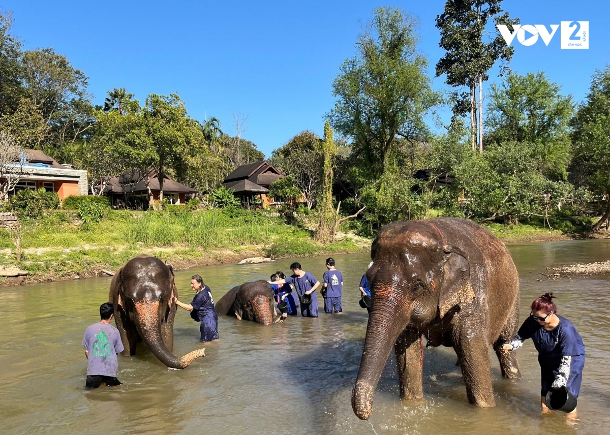 trai nghiem thu vi tai khu bao ton voi hug chang mae taeng, thai lan hinh anh 1