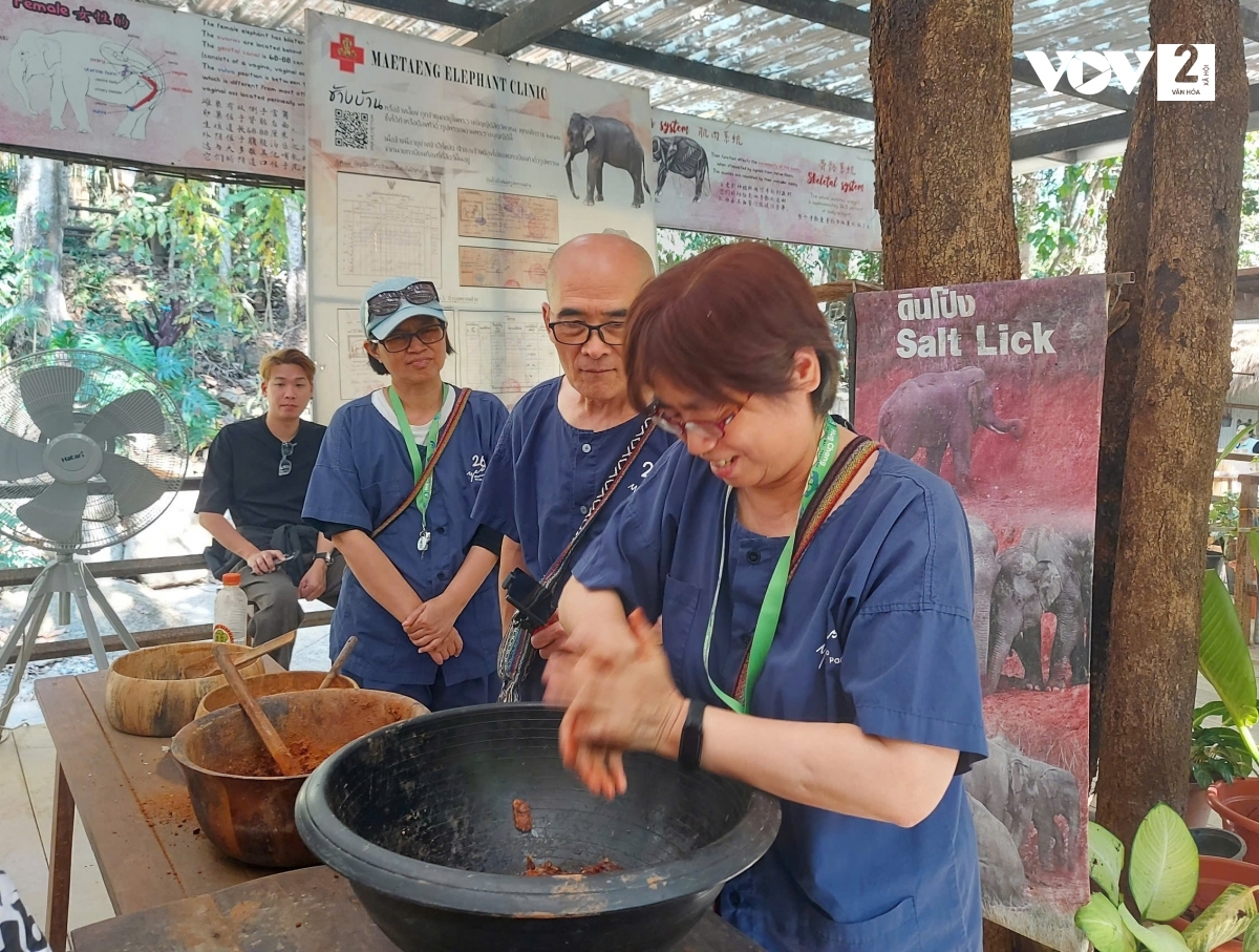 trai nghiem thu vi tai khu bao ton voi hug chang mae taeng, thai lan hinh anh 3