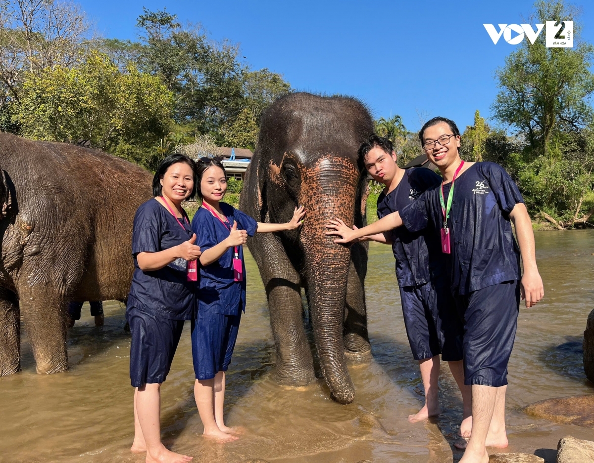 trai nghiem thu vi tai khu bao ton voi hug chang mae taeng, thai lan hinh anh 4