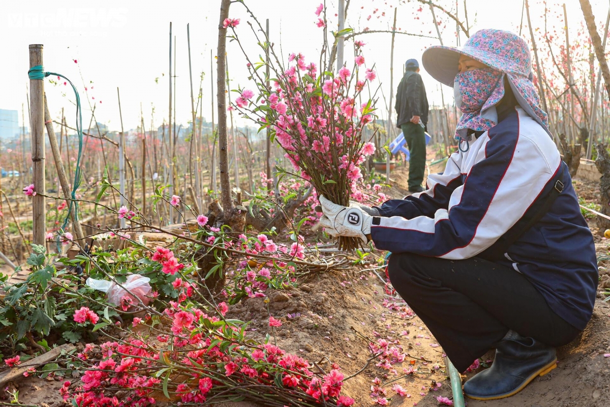 Dao nhat tan tu pho ve vuon, cho hoi sinh cho tet nam sau hinh anh 10