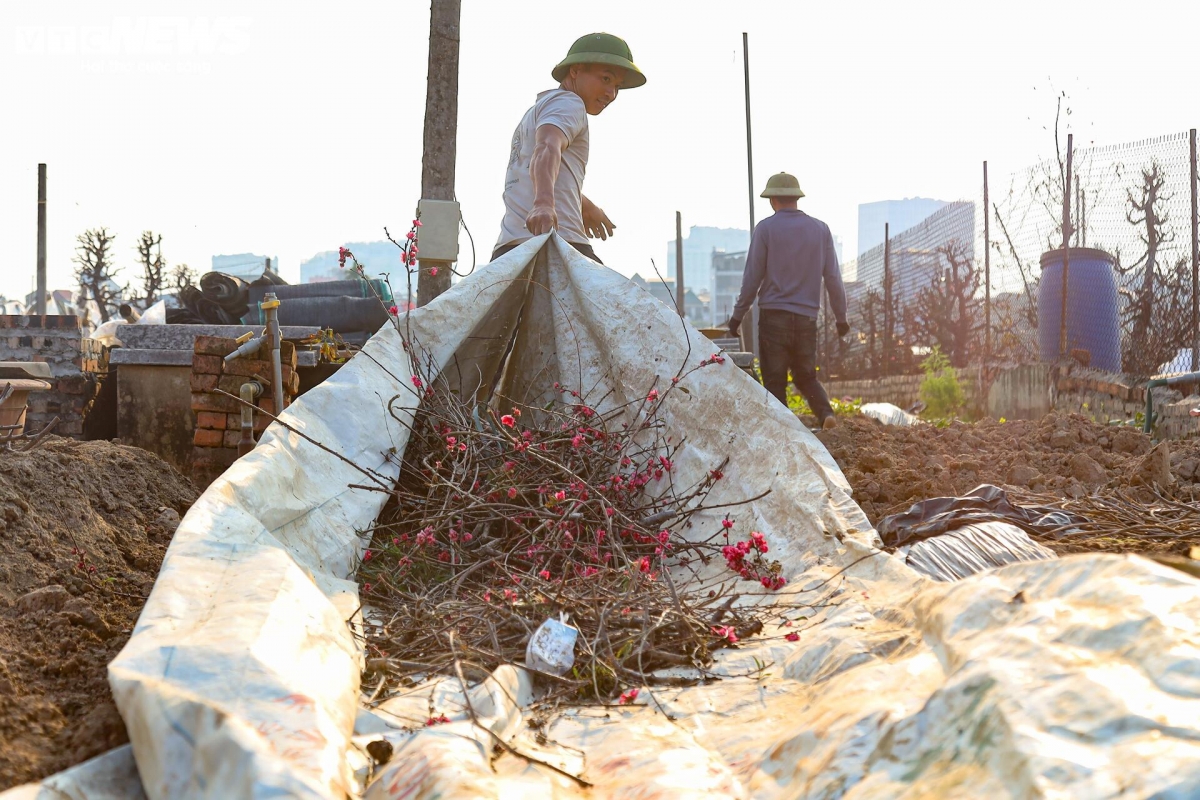 Dao nhat tan tu pho ve vuon, cho hoi sinh cho tet nam sau hinh anh 11