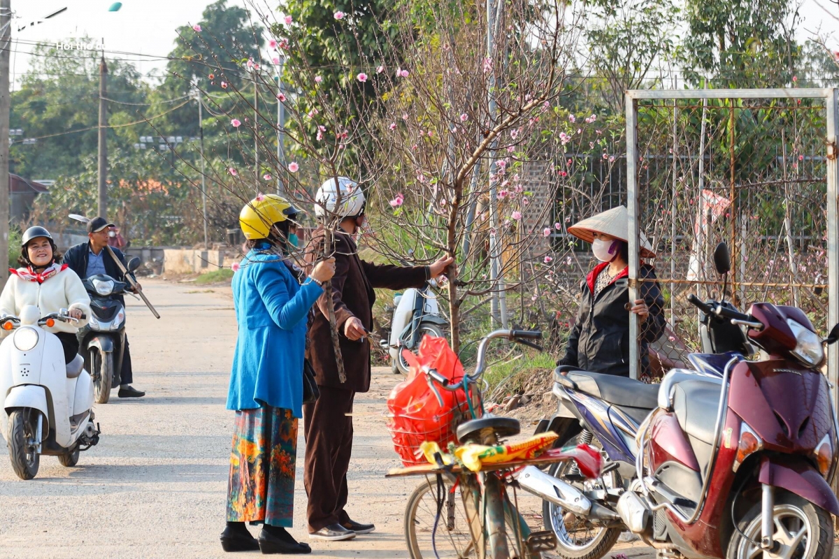 Dao nhat tan tu pho ve vuon, cho hoi sinh cho tet nam sau hinh anh 14