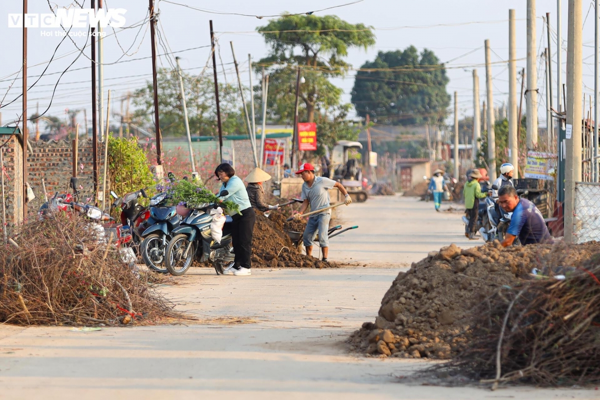 Dao nhat tan tu pho ve vuon, cho hoi sinh cho tet nam sau hinh anh 1