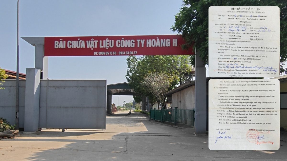man thau tom kinh dien 5 ha dat nong nghiep o thanh tri, ha noi hinh anh 8