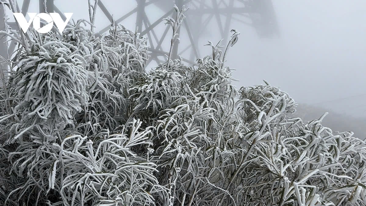 strong cold spell to hit this weekend, cause snowfall in highlands picture 1