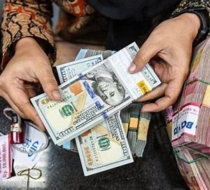 Tỷ giá USD hôm nay 12/3: Tỷ giá trung tâm giảm về 24.758 đồng/USD