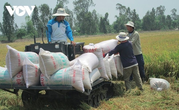 SunRice shows interest in Vietnam’s low-carbon rice production