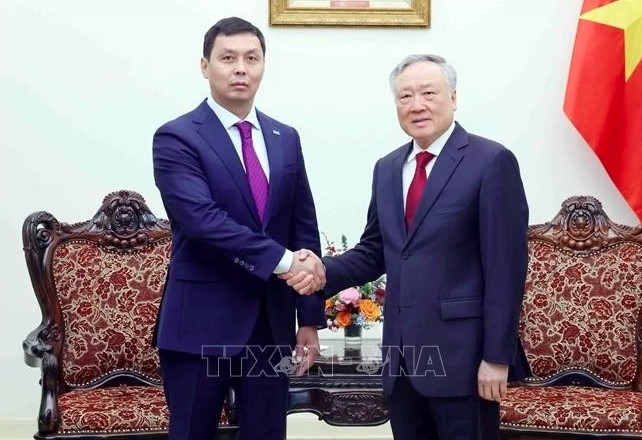 vietnam wishes to strengthen partnership with kazakhstan deputy pm picture 1