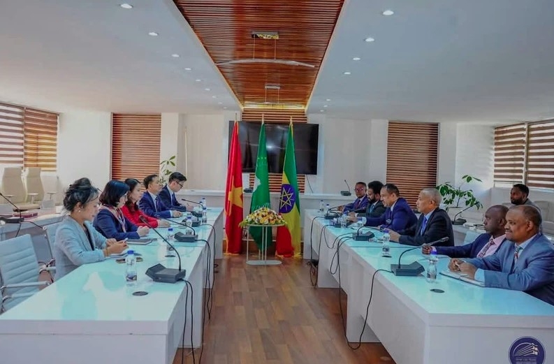 Vietnam, Ethiopia look to strengthen cooperation in potential sectors