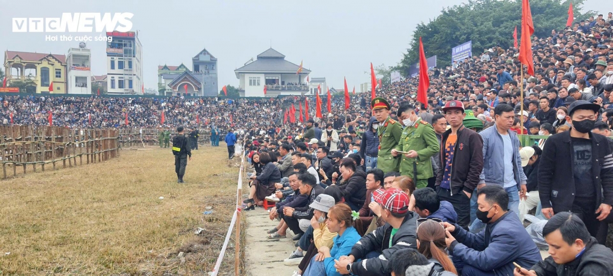 buffalo fighting festival excites crowds in vinh phuc picture 10