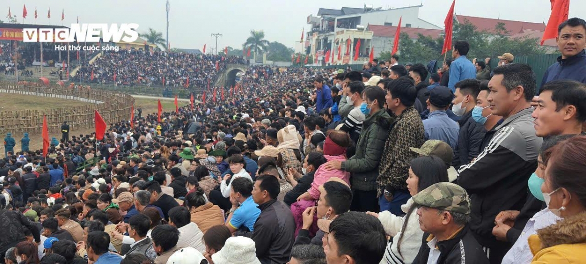 buffalo fighting festival excites crowds in vinh phuc picture 9