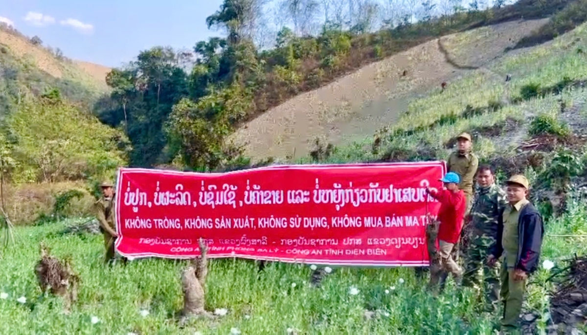 công an việt nam - lào phối hợp phá nhổ gần 70ha cây thuốc phiện hình ảnh 1 cong an viet nam - lao phoi hop pha nho gan 70ha cay thuoc phien hinh anh 1