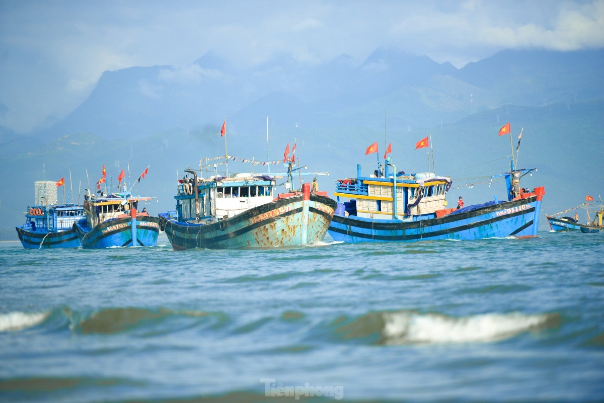 annual festival opens in da nang to pray for good harvest of fish picture 7