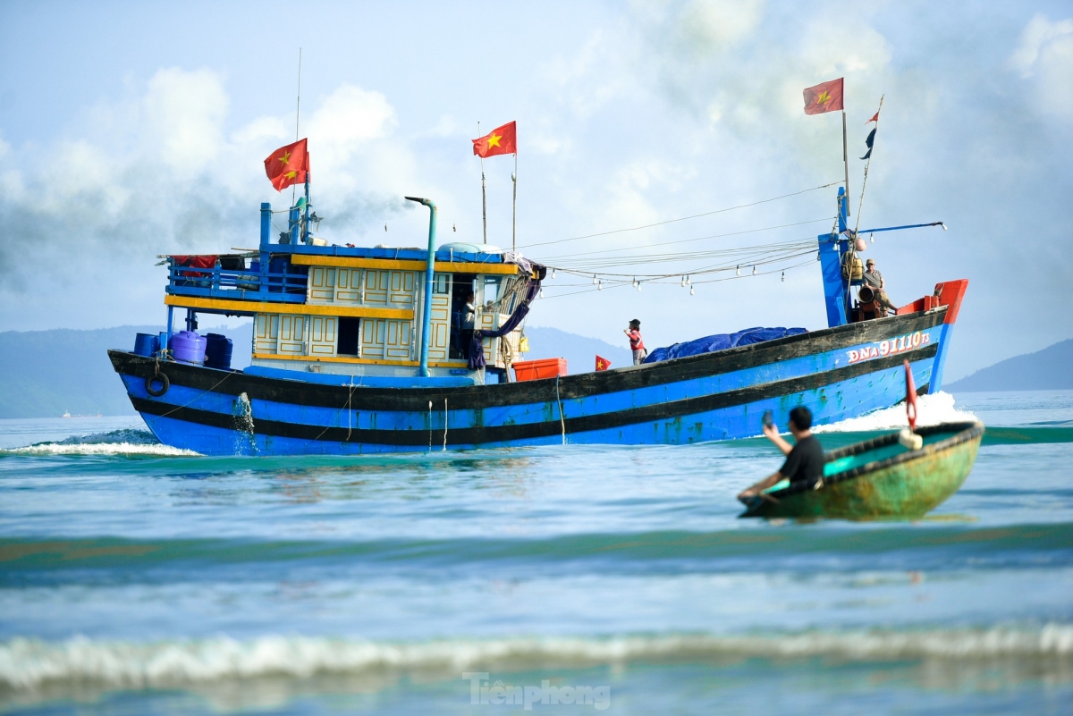 annual festival opens in da nang to pray for good harvest of fish picture 8