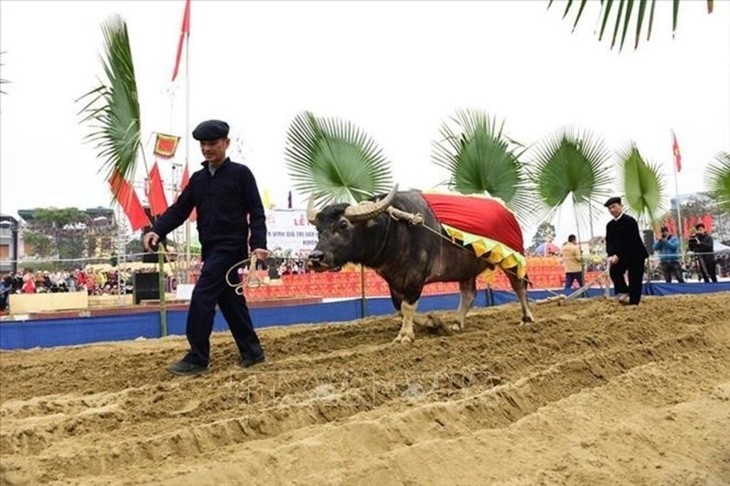 must-see spring festivals in vietnam during first lunar month picture 6