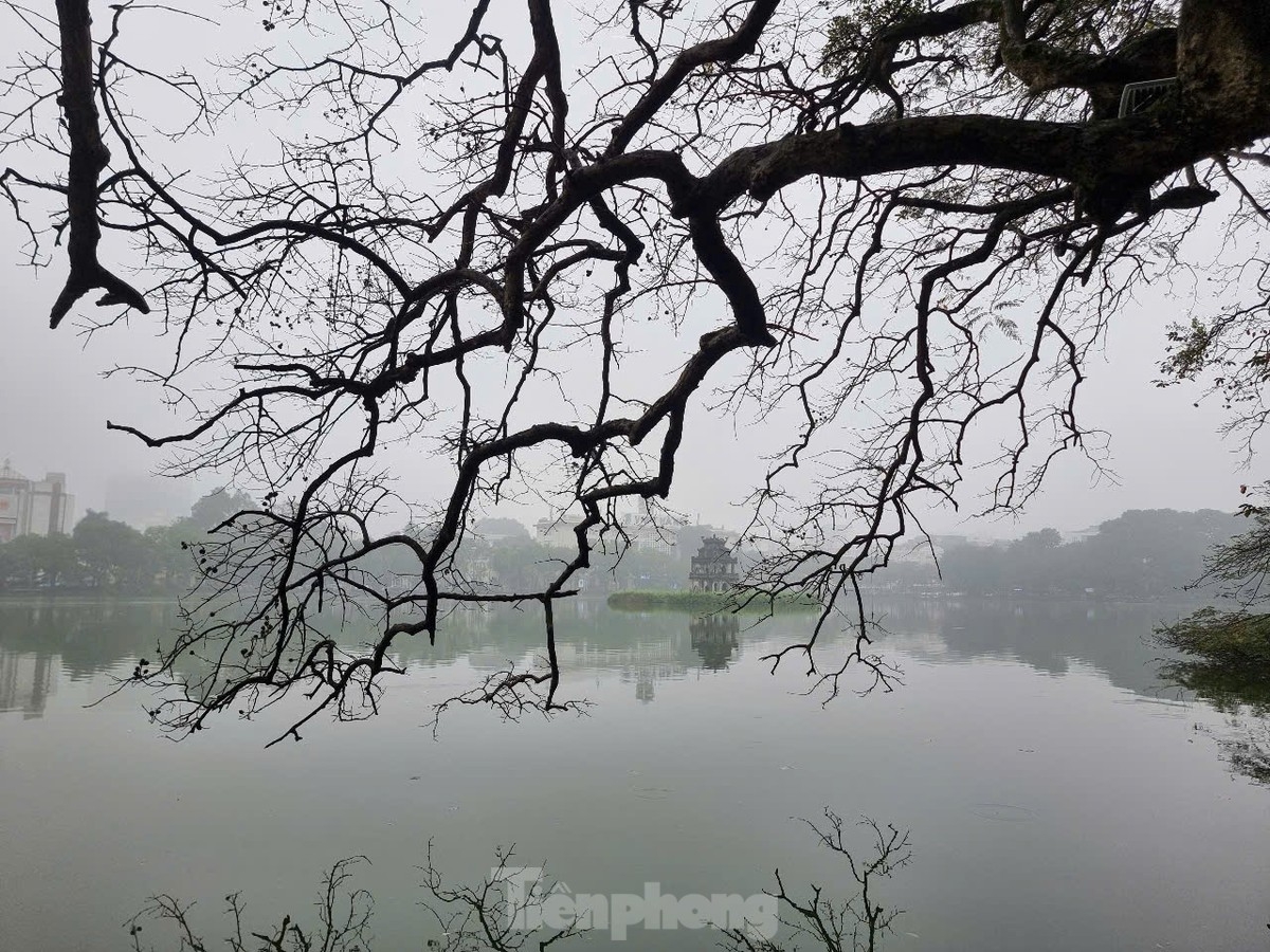 hanoi enveloped in thick fog and drizzle picture 10