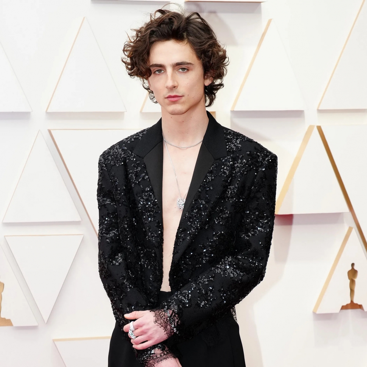 timothee chalamet lieu co the cham tay toi tuong vang oscar hinh anh 1