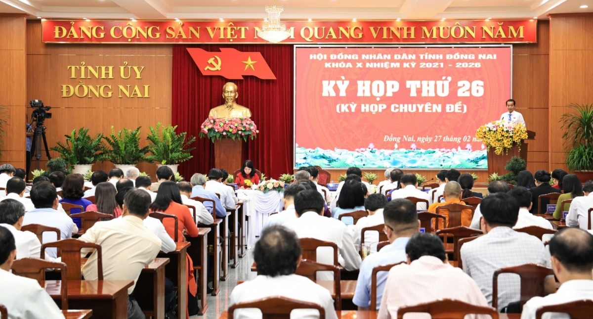 Dong nai thanh lap, to chuc lai cac so nganh hinh anh 1